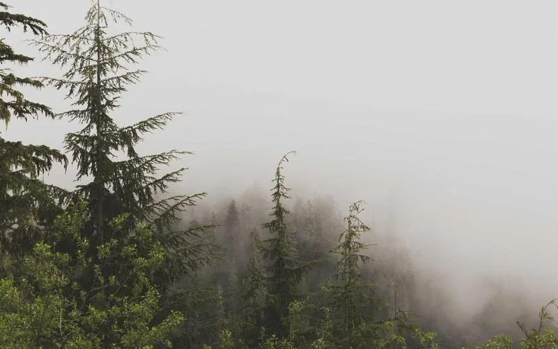 Award-Winning Director Announces Next Ambitious Project