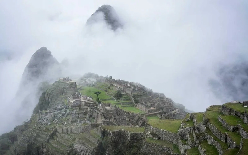 Moved: Public Health Policies Adapt Rapidly to Post-Pandemic Realities