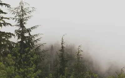 Award-Winning Director Announces Next Ambitious Project