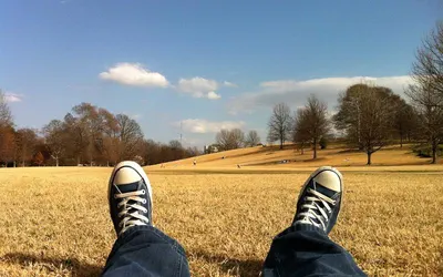 Climate Summit Concludes with Historic Carbon Agreement