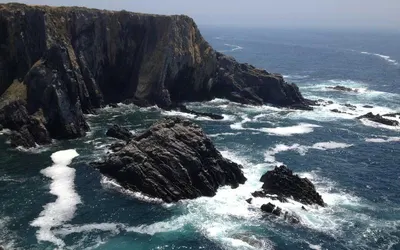 Fan Engagement Strategies Evolve in the Digital Era