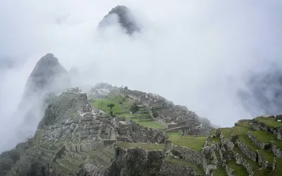 Moved: Public Health Policies Adapt Rapidly to Post-Pandemic Realities