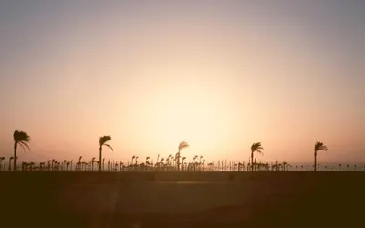 Rising Indie Artist Sweeps the Major Music Awards