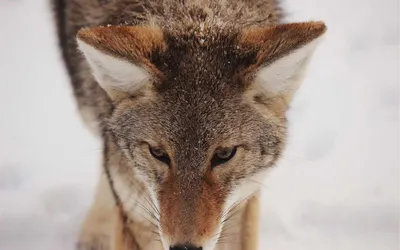 Space Tourism: The Next Frontier is Finally Open for Business