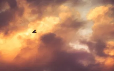 Virtual Concerts Gaining Massive Popularity Among Top Artists